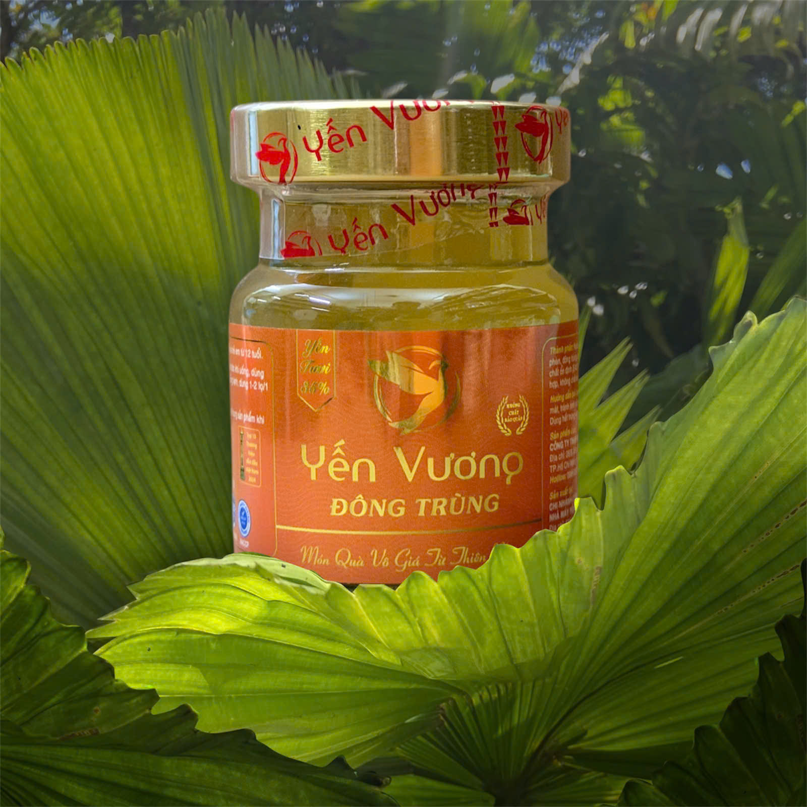 Hũ yến Vương 70ml Đông Trùng